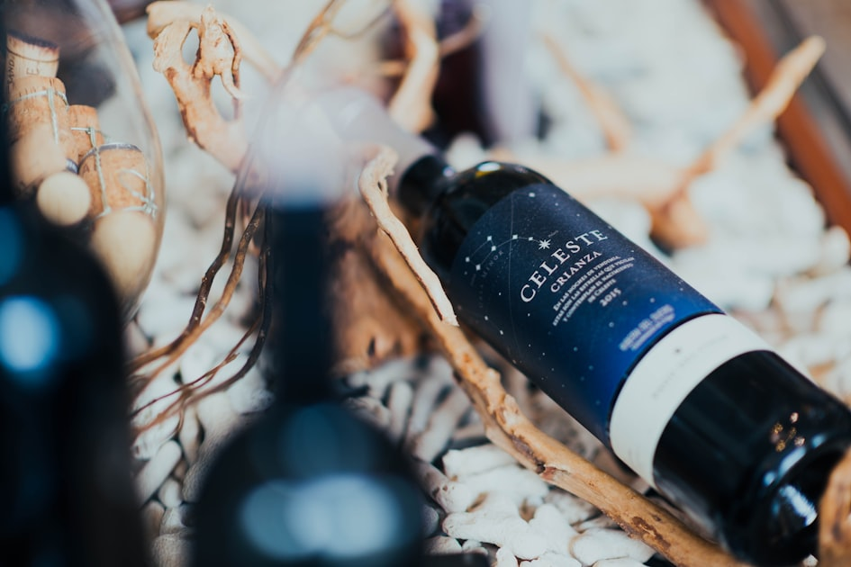 The Art of Wine Tasting